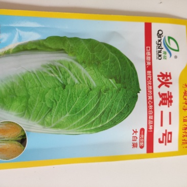 秋黄2号白菜种子内心黄色口感鲜美