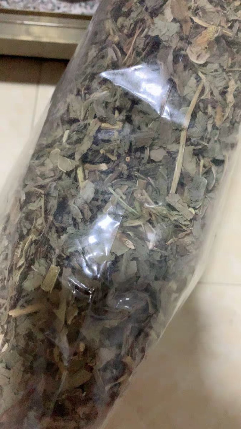 败酱草北败酱草无硫草药败酱草黄花败将北败酱中草药新鲜晒干