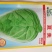 夏美大白菜种子早熟耐热抗病性强商品性好品质优良