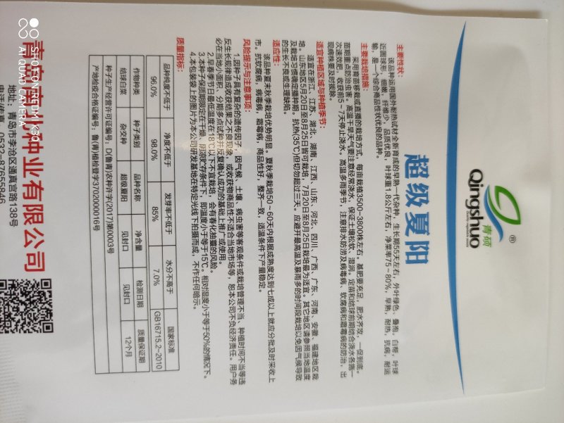 夏美大白菜种子早熟耐热抗病性强商品性好品质优良