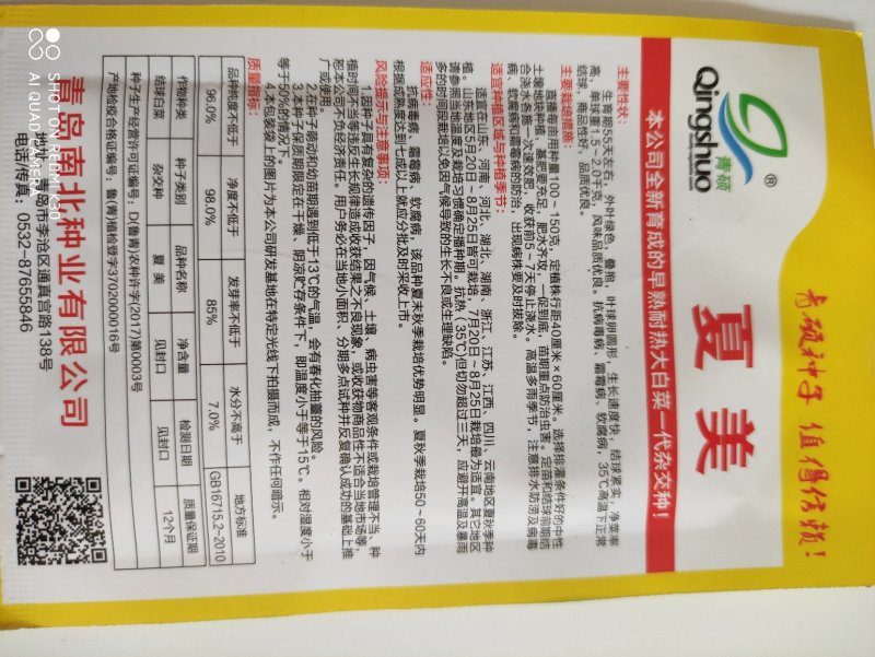 夏美大白菜种子早熟耐热抗病性强商品性好品质优良