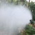 喷枪农用高压喷枪按压式手枪喷雾机器打药果树水稻冲洗车水枪