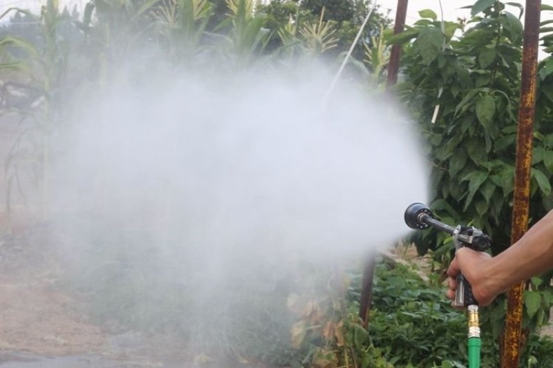 喷枪农用高压喷枪按压式手枪喷雾机器打药果树水稻冲洗车水枪