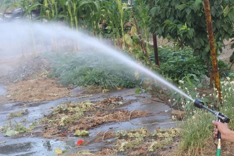 喷枪农用高压喷枪按压式手枪喷雾机器打药果树水稻冲洗车水枪