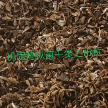 向全国诚找代理商，干野生食用鸡枞菌大量批发2020年新货