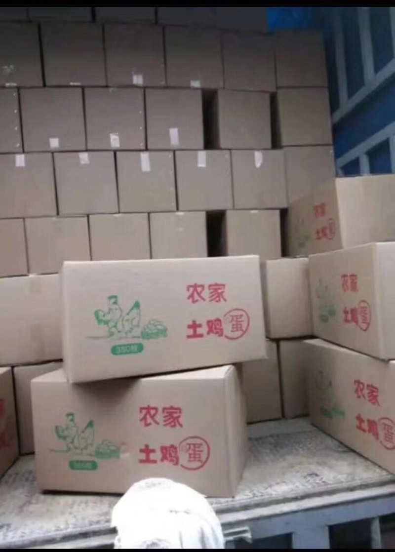 每天现捡新鲜土鸡蛋，量大从优