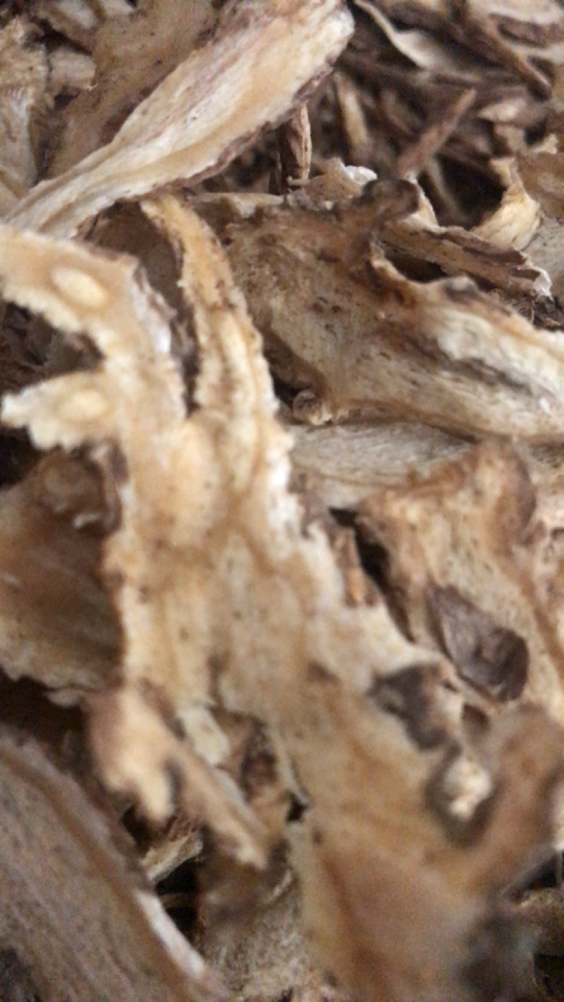 当归全归需要其他规格或品种可私聊长期供应