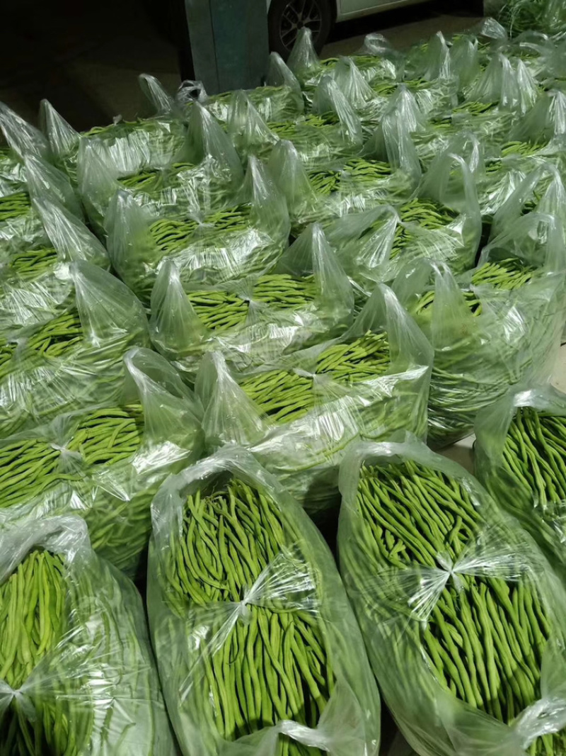 精品豆王，无丝豆，架豆王，无筋豆大量上市，新货上市，