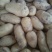 ，黄心土豆大量出库，质量好无青头无虫眼，上货量大