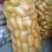 ，黄心土豆大量出库，质量好无青头无虫眼，上货量大
