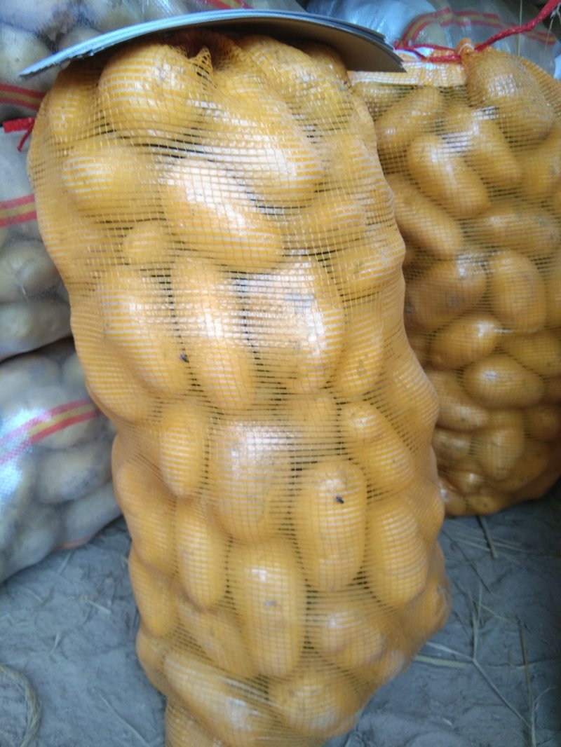 ，黄心土豆大量出库，质量好无青头无虫眼，上货量大