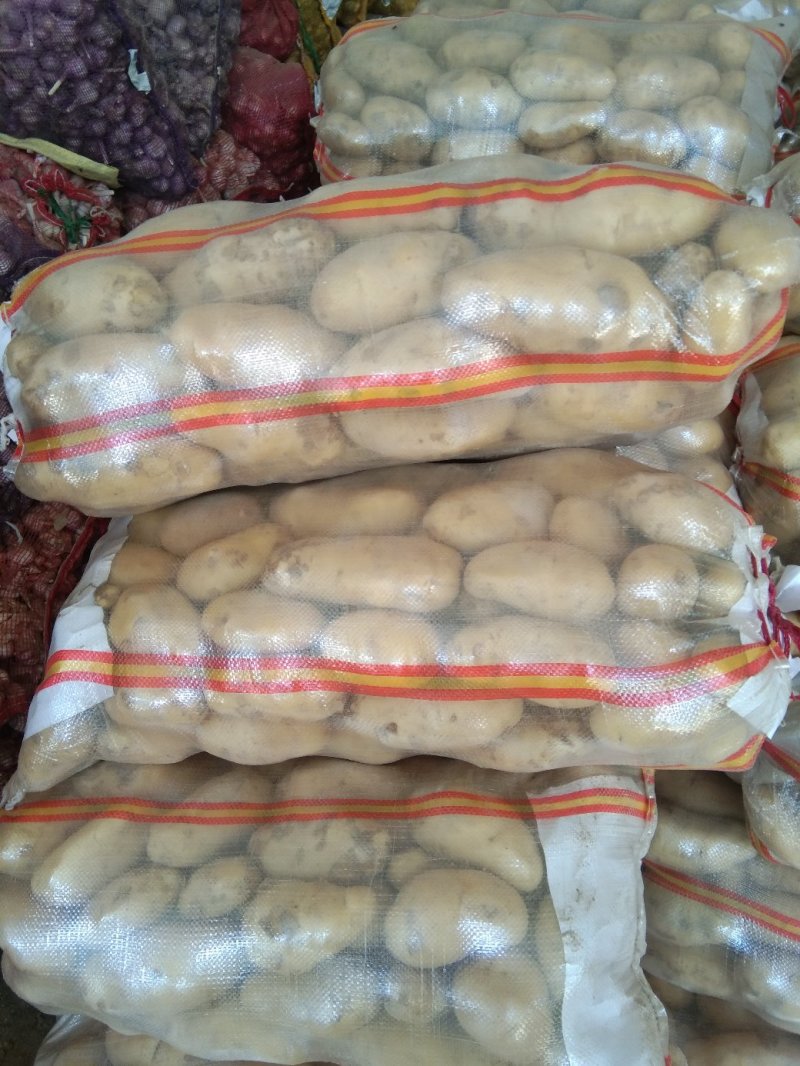 ，黄心土豆大量出库，质量好无青头无虫眼，上货量大