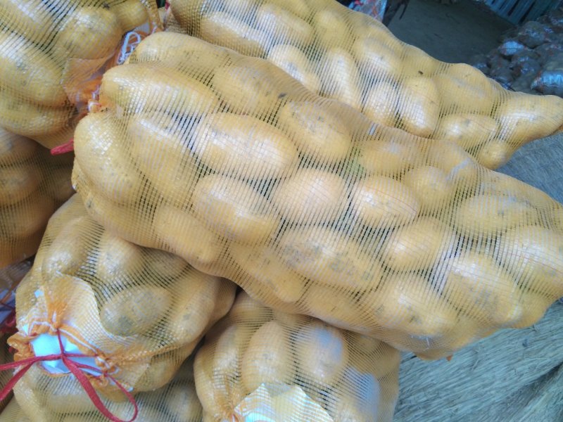 ，黄心土豆大量出库，质量好无青头无虫眼，上货量大