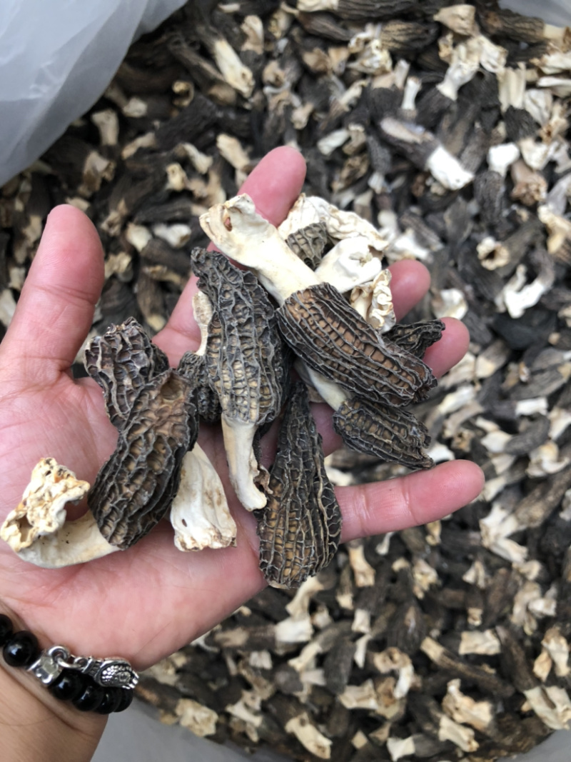 羊肚菌干货