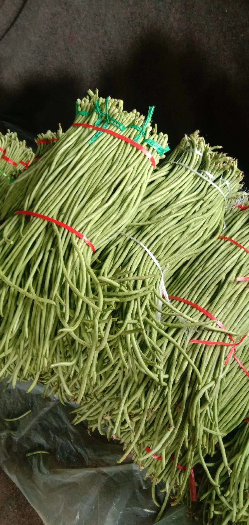 山东优质精品长豆角大量供应支持全国各地发货