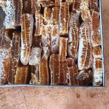 巢蜂蜜，正宗巢蜂蜜，蜂巢蜜，蜂巢蜜