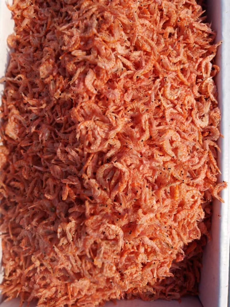 南极磷虾淡干无盐磷虾，红虾皮，一手货源，品质保障