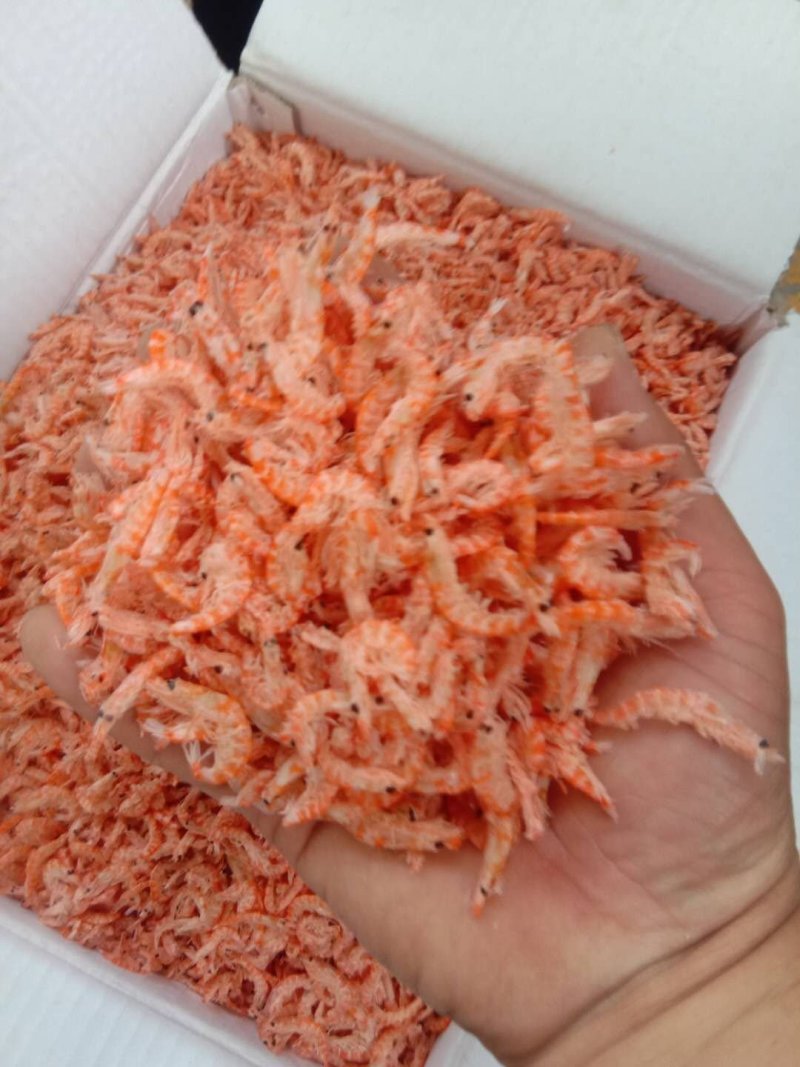 南极磷虾淡干无盐磷虾，红虾皮，一手货源，品质保障