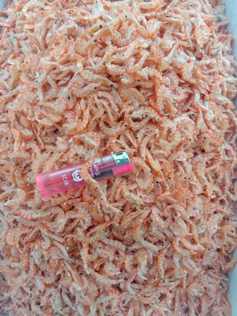 南极磷虾淡干无盐磷虾，红虾皮，一手货源，品质保障