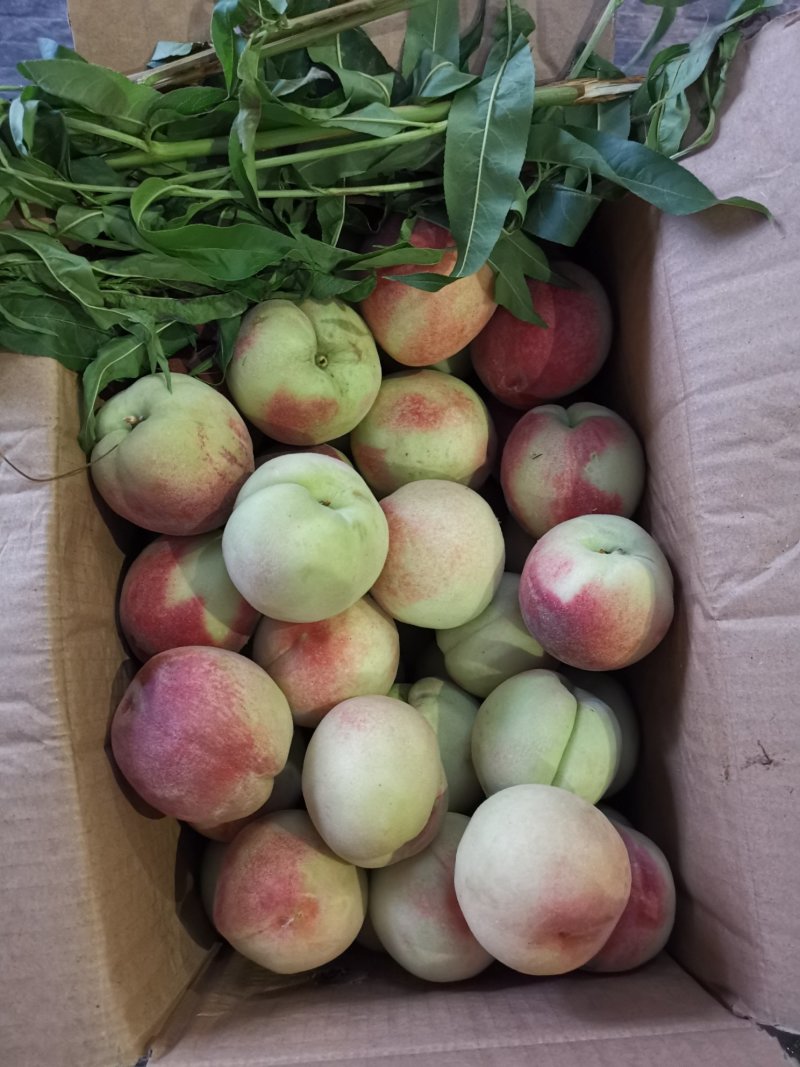 水果