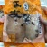 湛江海产品新鲜中断切片马友鱼真空精装