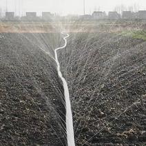 滴灌微喷带微喷带农用园林绿化灌溉水带喷灌带滴灌带喷水软管