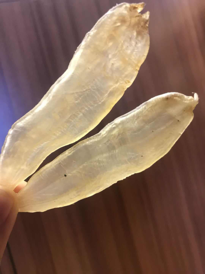 85头水晶厚肉鳘鱼胶