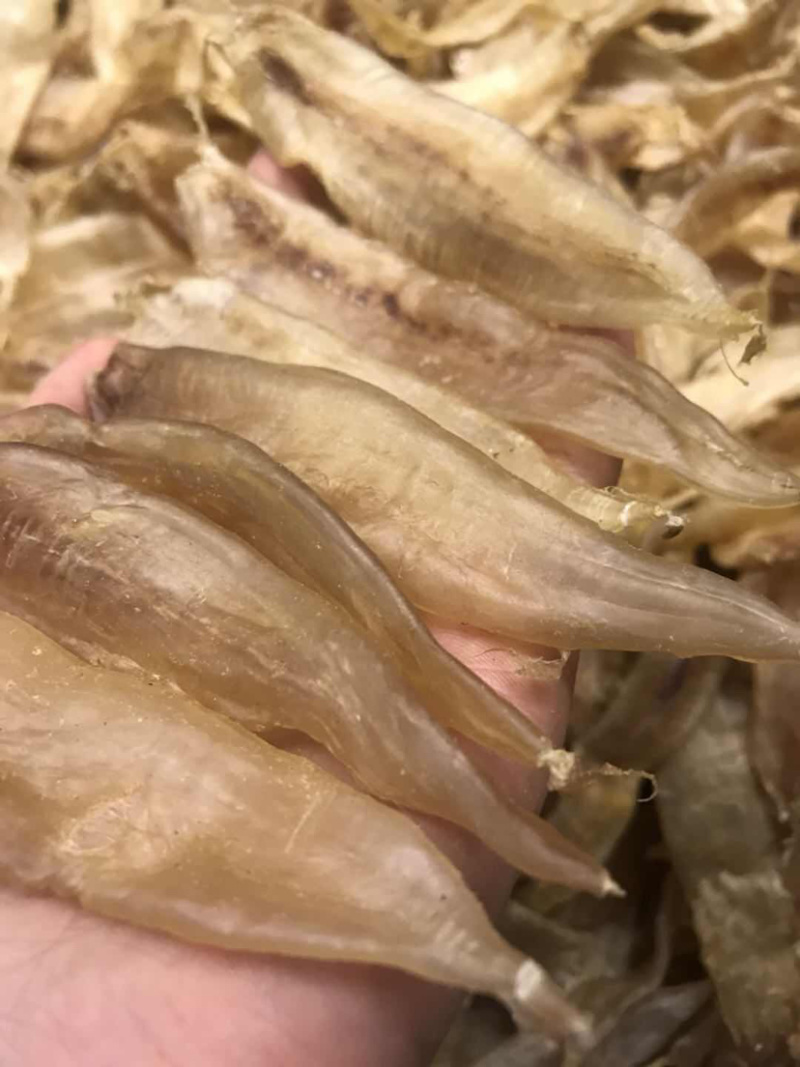 85头水晶厚肉鳘鱼胶