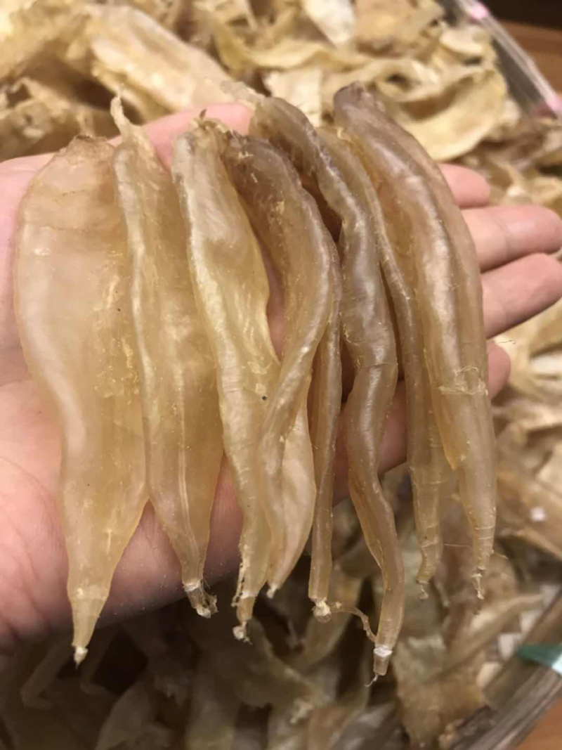 85头水晶厚肉鳘鱼胶