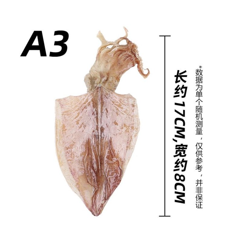 一件代发北海特产淡干鱿鱼A1A5水煮手撕烧烤酒吧KTV
