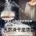 晒干龙须菜凉拌龙须菜脆嫩可口龙须菜海洋中的美食5斤包邮