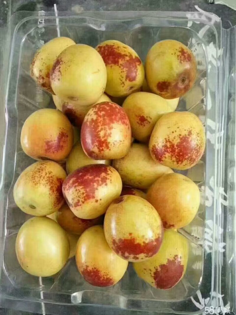 陕西大荔冬枣大量上市，欢迎各大电商，微商前来采购