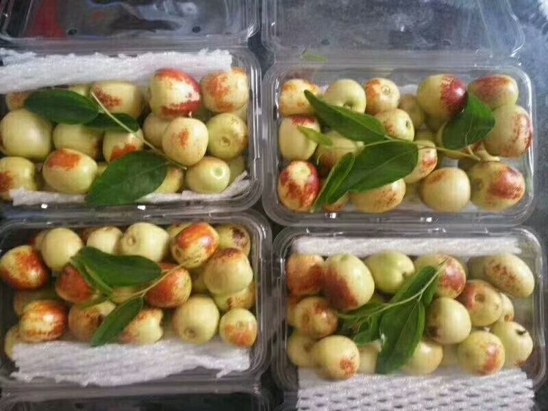 陕西大荔冬枣大量上市，欢迎各大电商，微商前来采购