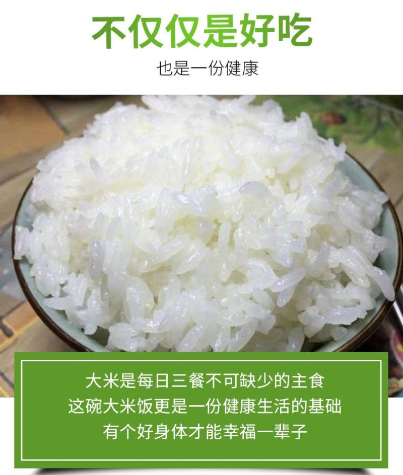 五常稻花香2号米新米，