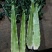 兰州高原夏菜即将大量上市，大型冷库预订开始，万亩蔬菜基地