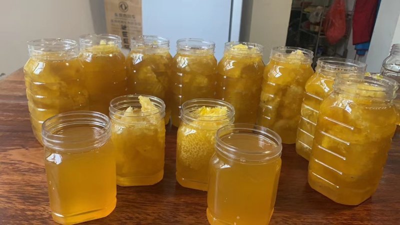 少量供应老挝野生蜂蜜