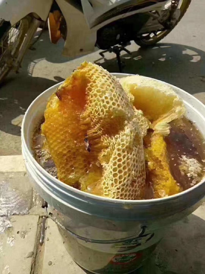 少量供应老挝野生蜂蜜