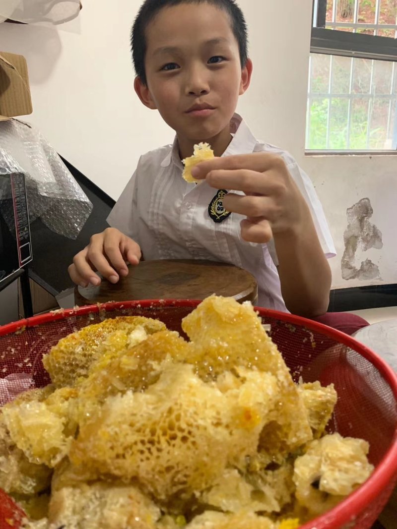 少量供应老挝野生蜂蜜
