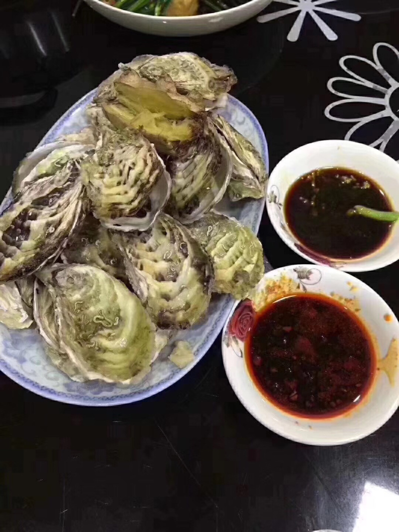 福建广东湛江乳山鲜活带壳高压锅生蚝肉牡蛎海蛎子烧烤批发