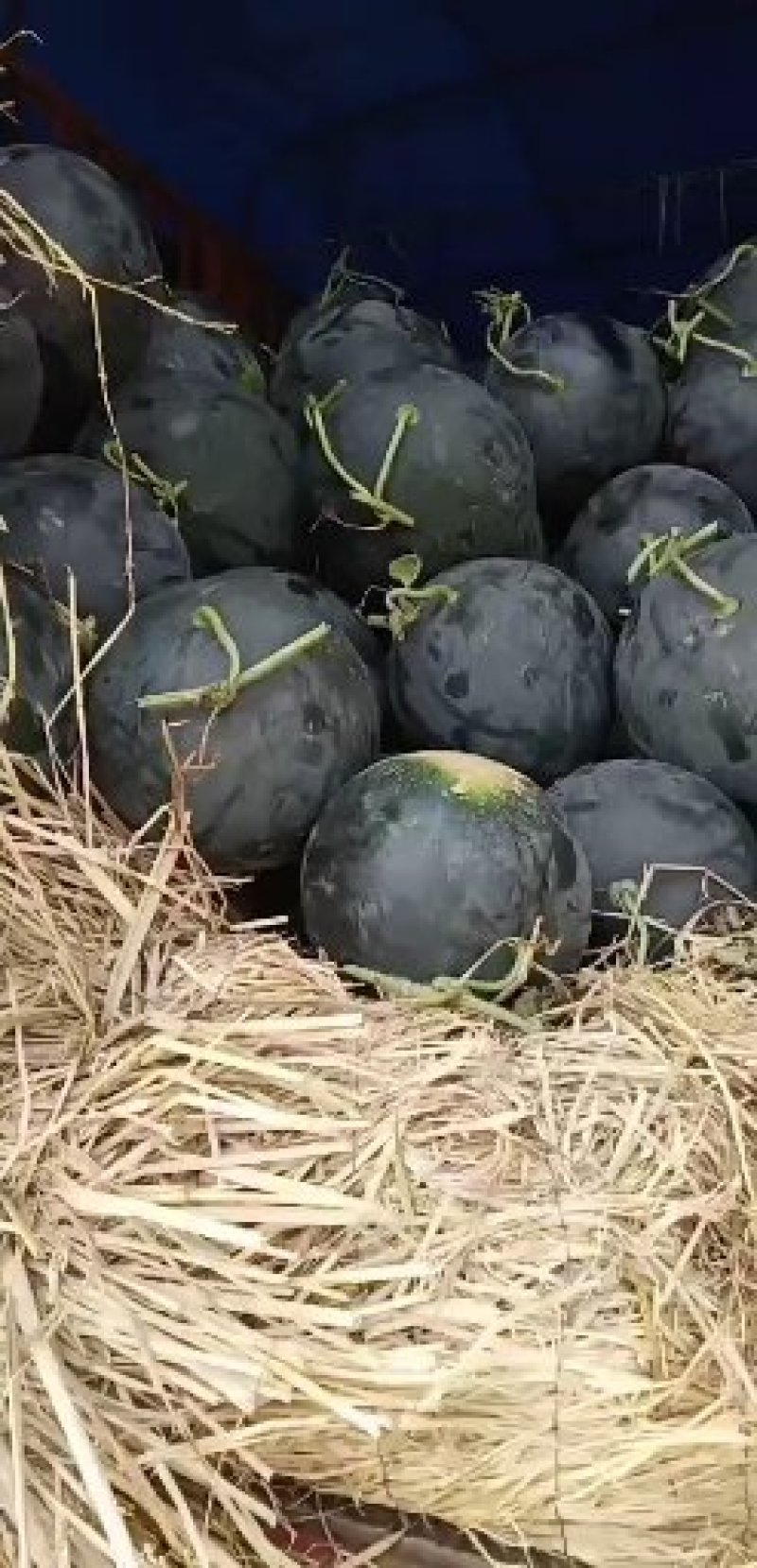 无籽西瓜湖北西瓜量大从优产地一手货源
