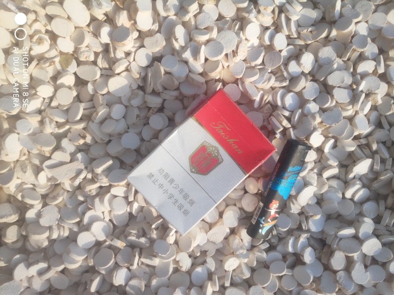 各种规格怀山药加工一手货源有大货
