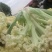 加工厂有机花菜，商品有机菜花，长期大量供应