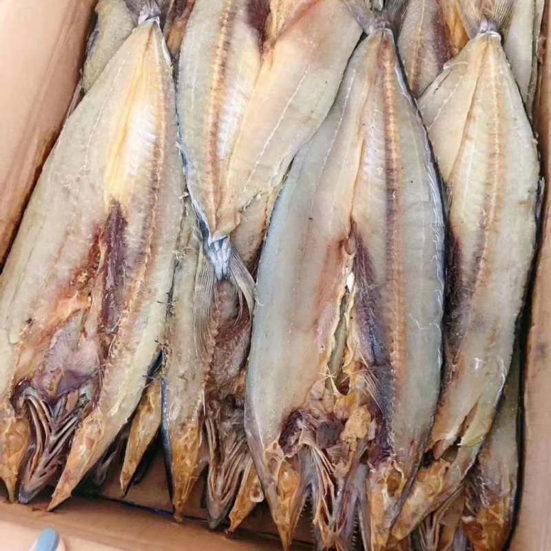 咸鱼刀鲅，海鱼肉质鲜美活鱼淹制一条一斤左右批发价不包邮