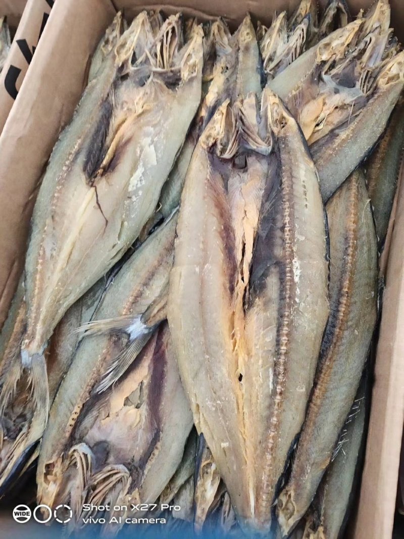 咸鱼刀鲅，海鱼肉质鲜美活鱼淹制一条一斤左右批发价不包邮