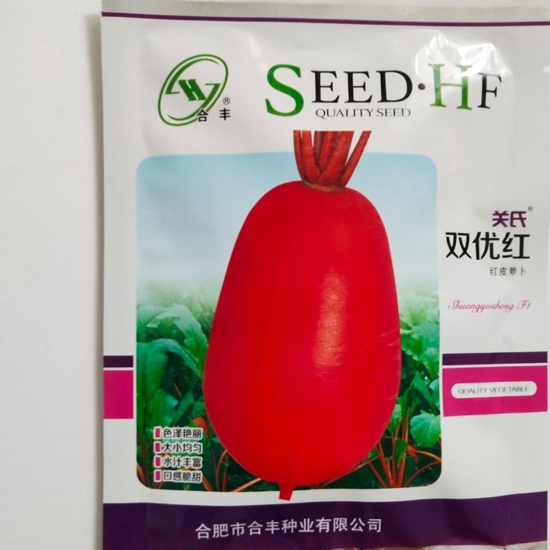萝卜种子夏季耐热红萝卜种子杂交品种品质有保证