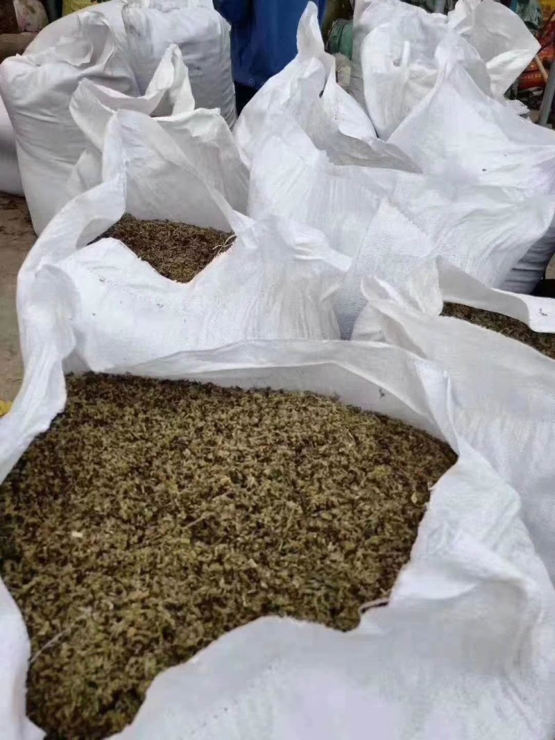 艾草种子艾叶香草药用食用，亩用量4斤一亩