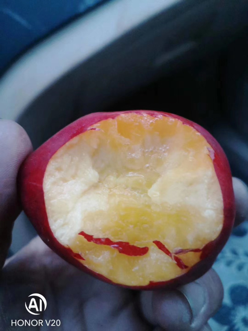 油桃