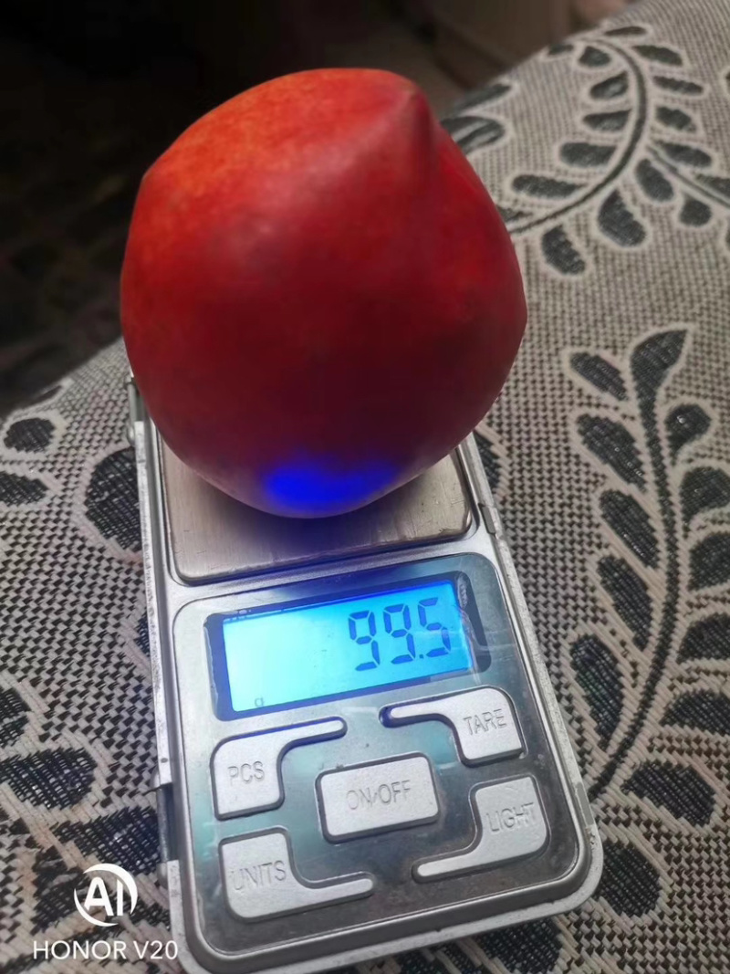 油桃