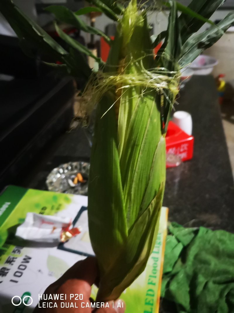 水果玉米