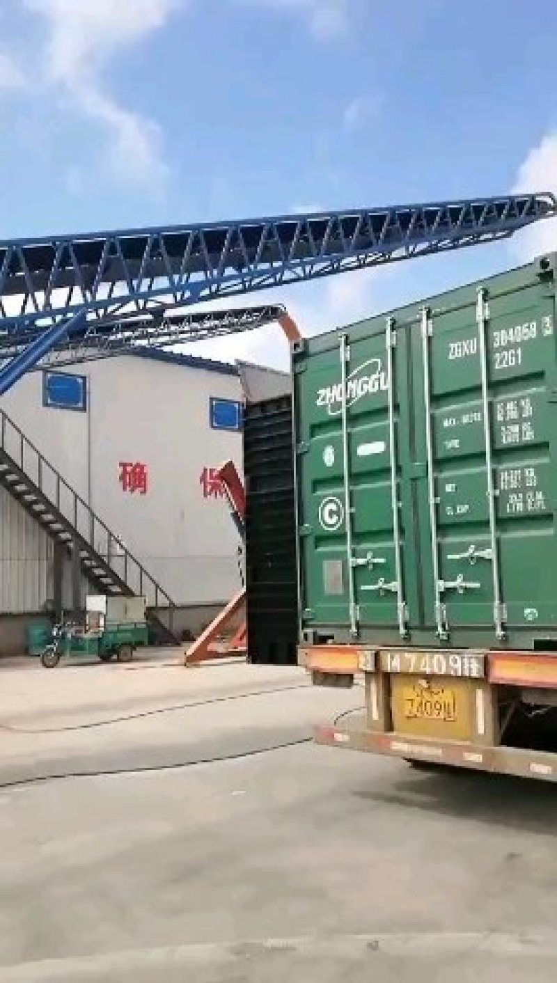 玉米粒干粮2020一等二等玉米
